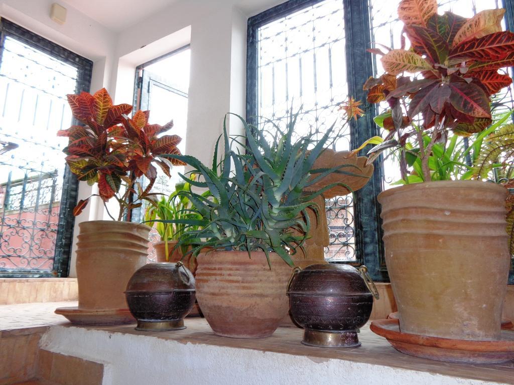 Riad Sesame Marrakesh Eksteriør bilde
